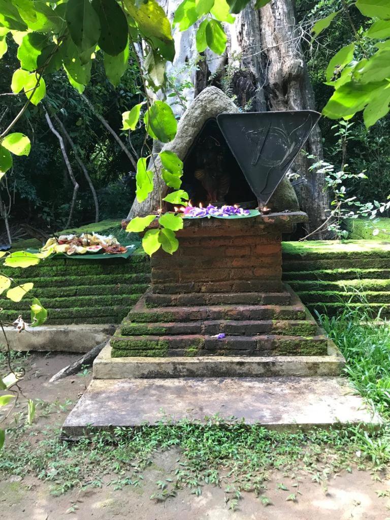 Aswadduma Hotel Dambulla Exterior foto